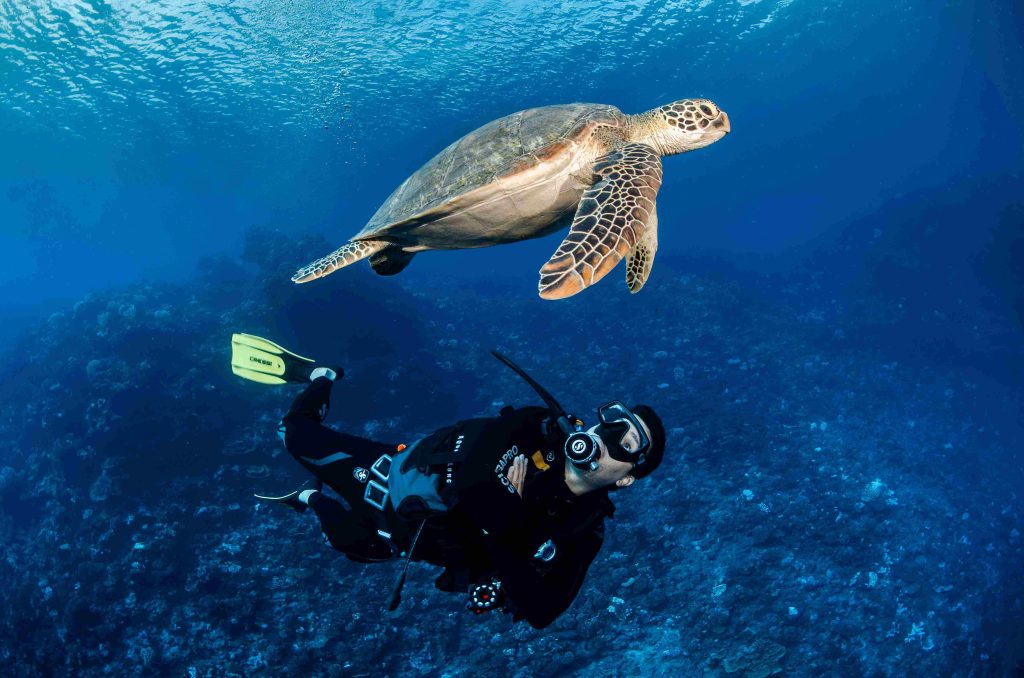 Une_belle-rencontre-sous-la-surface-de-FAKARAVA-©-Frederique-Legrand