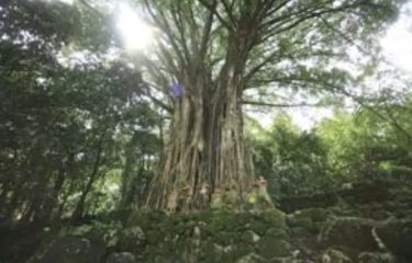 Traumhaftes Französisch-Polynesien entdecken