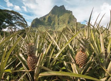 Traumhaftes Französisch-Polynesien entdecken