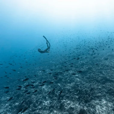 Activités à Fakarava