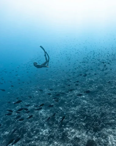 Activités à Fakarava
