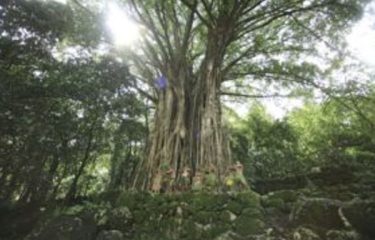Fakarava