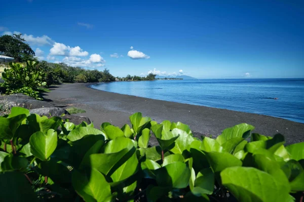 Tour de l’île de Tahiti – Les spots à voir