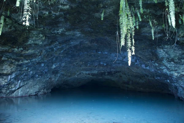 Tour de l’île de Tahiti – Les spots à voir