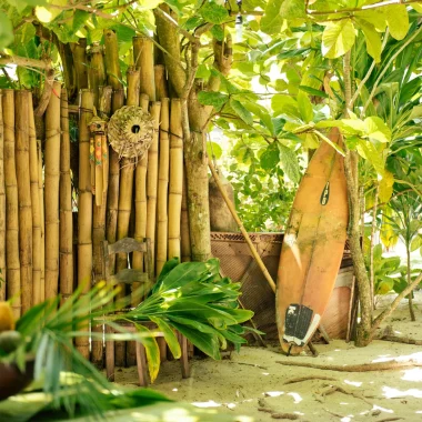 Guide du Surf : Conseils et astuces pour les débutants