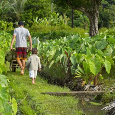 Le rôle des pratiques tahitiennes dans un mode de vie durable