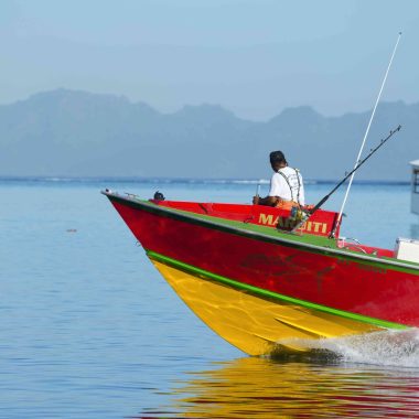 La pêche au gros