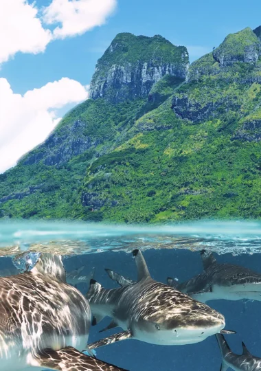 Les meilleures raisons de visiter Bora Bora une fois dans sa vie
